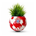 BAYERN MUNICH