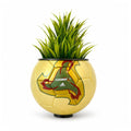 WORLD CUP '02 FEVERNOVA