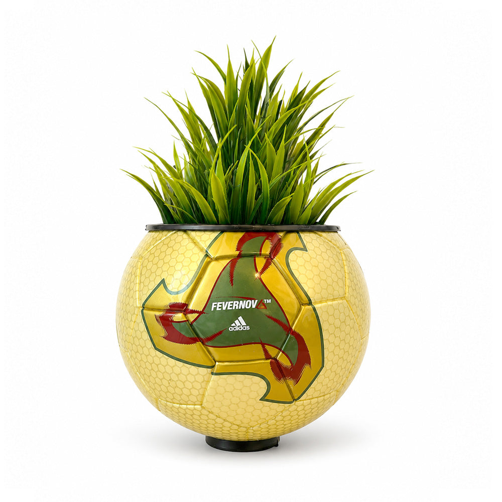 WORLD CUP '02 FEVERNOVA