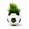 WORLD CUP '70 TELSTAR